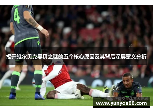 揭开维尔贝克黑贝之谜的五个核心原因及其背后深层意义分析 揭开维尔贝克黑贝之谜的五个核心原因及其背后深层意义分析